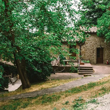 Parulia Arezzo