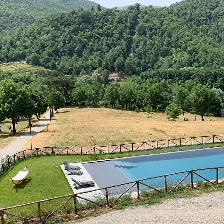 Parulia