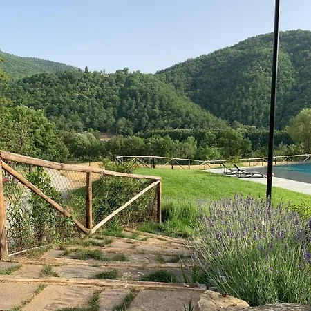 Parulia Arezzo