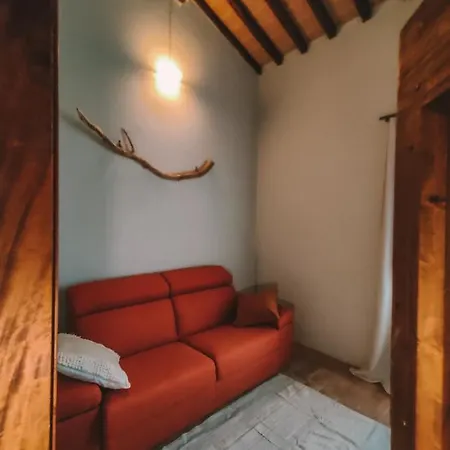 Parulia Farma Arezzo