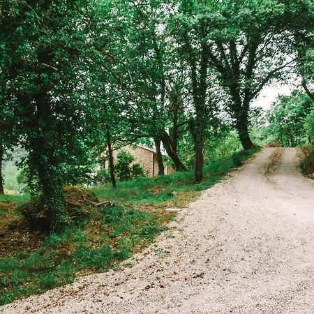 Parulia * Arezzo