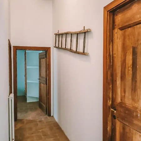 Parulia Arezzo
