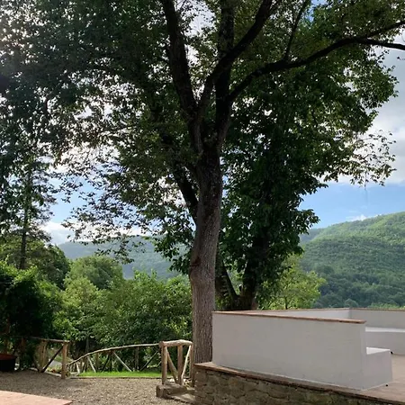 Parulia * Arezzo