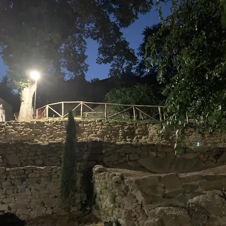 Parulia Arezzo