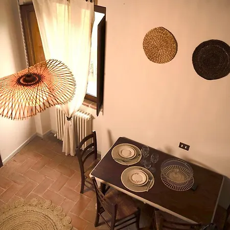 Parulia * Arezzo