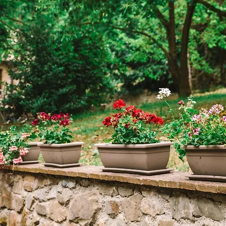 Farm stay Parulia Arezzo